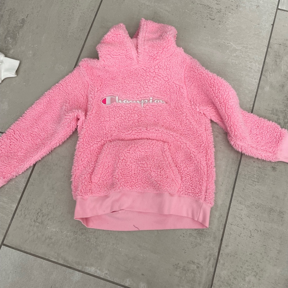 Fluffy champion hoodie